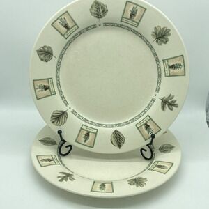 Portfolio Pfaltzgraff Naturewood Dinner Plates 11" Set Of 2 Vintage Stoneware